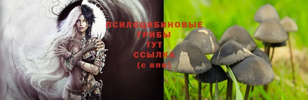 MDMA Premium VHQ Беломорск