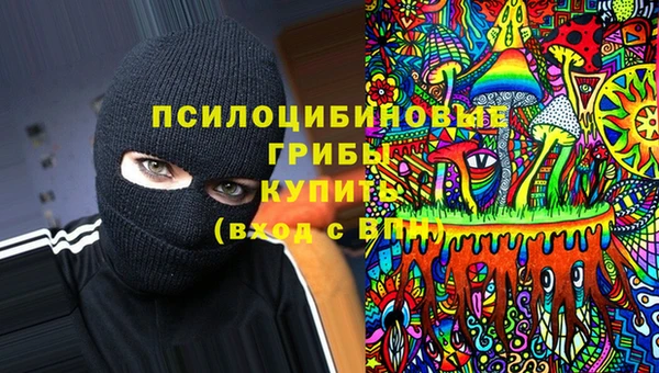 амфетамин Белокуриха