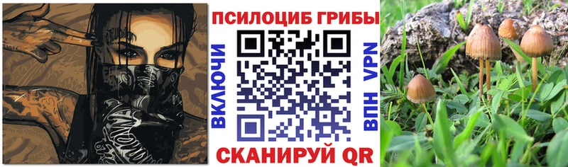 где купить наркоту  МЕГА маркетплейс  Галлюциногенные грибы GOLDEN TEACHER  Верхний Тагил 